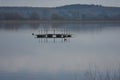 Misty Day Across Arlington Reservoir East Sussex UK