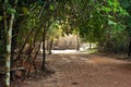 Misty day at Angkor Wat Cambodia