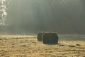 Misty day with sun rays and bales of hay in the park in the autumn. Royalty Free Stock Photo