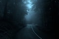 Misty fairytale road throught forest Royalty Free Stock Photo