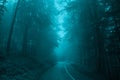 Misty fairytale road throught forest Royalty Free Stock Photo