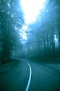 Misty fairytale road throught forest Royalty Free Stock Photo