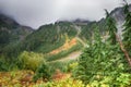 Misty Fall Colors, Wonderland Trail, Mount Rainier National Park, WA Royalty Free Stock Photo