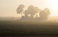 Misty farm sunrise