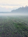 Misty field with freshly mown grass