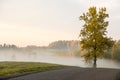 Misty fields and meadows after the rain in summer Royalty Free Stock Photo