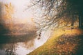 Misty fog forest in Belarus park by the river, golden autumn folliage