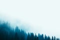 Misty fog pine forest mountain slopes color toning Royalty Free Stock Photo