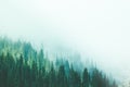 Misty fog pine forest mountain slopes color toning Royalty Free Stock Photo