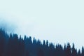 Misty fog pine forest mountain slopes color toning Royalty Free Stock Photo