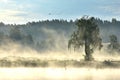 Misty foggy morning in summer.Lithuania nature Royalty Free Stock Photo