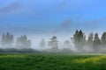 Misty foggy sunrise in summer Royalty Free Stock Photo