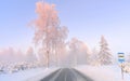 Misty foggy winter day in Europe.Snowy trees Royalty Free Stock Photo