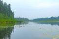 Misty Forest on a Backcountry Paddle Route