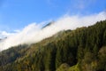Misty forest in the Bavarian mountains Royalty Free Stock Photo