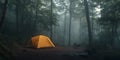 Misty Forest Camping Orange Tent in Woods Royalty Free Stock Photo