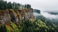 Misty Forest Cliff: Iconic Rock And Roll Topographic Photography