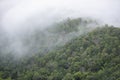 Misty forest , Foggy morning mist in valley beautiful in Thailand Asian - Misty landscape mountain fog and forest tree view on top Royalty Free Stock Photo