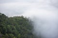 Misty forest Foggy morning mist in valley beautiful in Thailand Asian / Misty landscape mountain fog and forest tree view on top Royalty Free Stock Photo