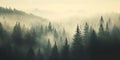 Misty forest in a gloomy landscape, mysterious fog, gloomy forest