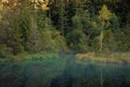 Misty forest lake moody tranquil atmospheric natural environment space landscape with silent water surface with smoke foreground Royalty Free Stock Photo