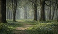 Enchanted Forest Path Lined with Spring Wildflowers Royalty Free Stock Photo
