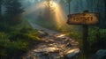 Misty forest pathway at sunrise Royalty Free Stock Photo