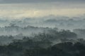 Misty forest seen from top at morning, Java Royalty Free Stock Photo