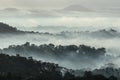Misty forest seen from top at morning, Java Royalty Free Stock Photo