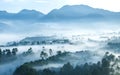 Misty forest seen from top at morning