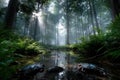 Misty Forest Stream with Crabs and Sunlight Royalty Free Stock Photo