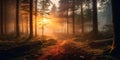 Misty forest with sun rising in distance representing beauty of new day, concept of Renewal of Nature, created with