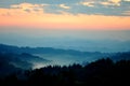 Misty Forest at Sunrise