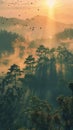 Misty forest at sunrise with birds flying Royalty Free Stock Photo