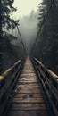 Misty Forest Wooden Bridge: Moody And Evocative Adventure Themed Vancouver School Art