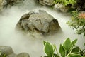 Misty fountain water feature Royalty Free Stock Photo