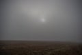 Misty gloomy autumn morning in the field