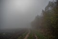 Misty gloomy autumn morning in the field