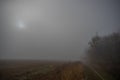 Misty gloomy autumn morning in the field