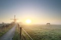 Misty gold sunrise with grazing horse and windmil