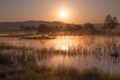 Misty Golden Sunrise Reflecting over Lake in Spring Royalty Free Stock Photo