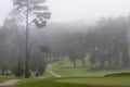 Misty golf course