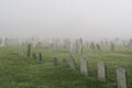 Misty Graveyard