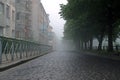 Misty gray stone-paved road surrounded by metal fences, branches of green trees and vague facades of buildings in foggy morning