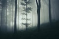 Misty haunted forest with surreal light