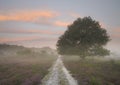 Misty Heath Track