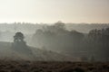 Misty hills near the Posbank