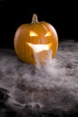 Misty Jack-o-Lantern 6 Royalty Free Stock Photo