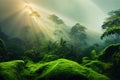Misty Jungle Rainforest In The Morning. Tropical Forest With Sun Rays And Fog. Nature Landscape Wallpaper Background