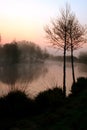 Misty lake at dawn Royalty Free Stock Photo